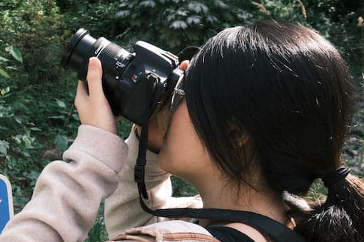 Neko taking a photo